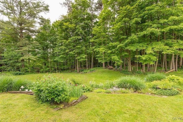 4581 Nelson Rd, Fenner, NY 13035 - view of green lawn