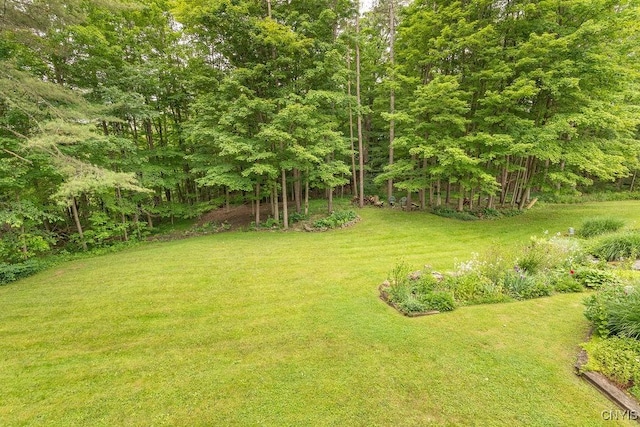 4581 Nelson Rd, Fenner, NY 13035 - view of grassy yard