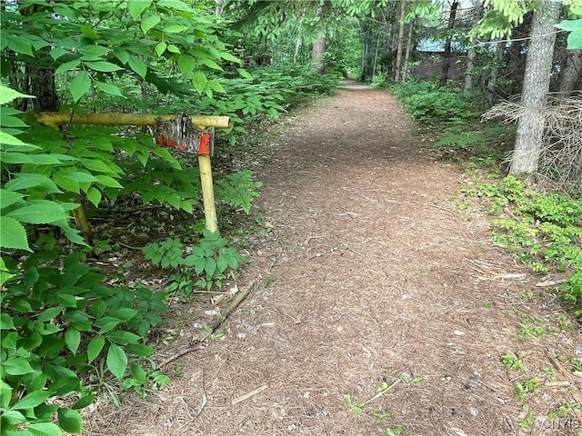 8054 Sand Pond Rd, Greig, NY 13343 - view of yard