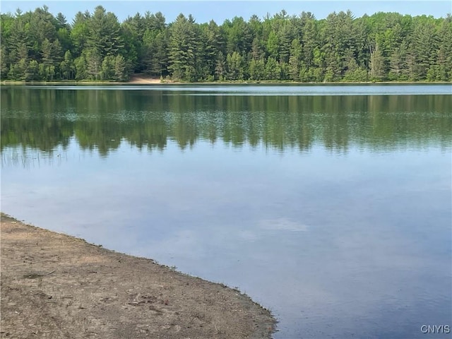 8054 Sand Pond Rd, Greig, NY 13343 - water view featuring a forest