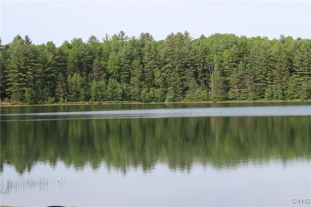 8054 Sand Pond Rd, Greig, NY 13343 - water view with a heavily wooded area