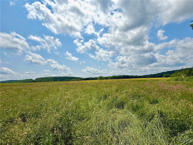 120 Foster Rd, Lisle, NY 13803