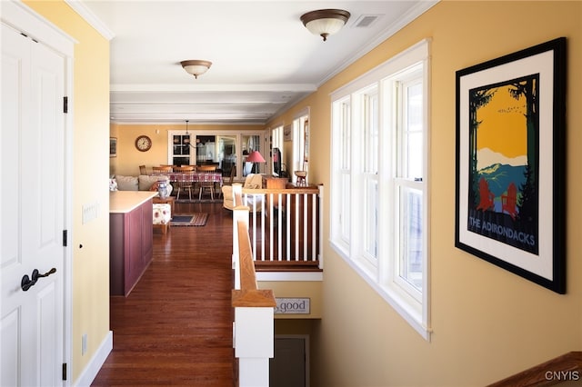 23986 Smith Rd, Alexandria, NY 13607 - corridor featuring dark wood-style floors and ornamental molding