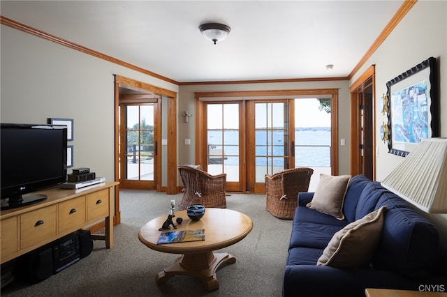 23986 Smith Rd, Alexandria, NY 13607 - living area featuring ornamental molding and light colored carpet