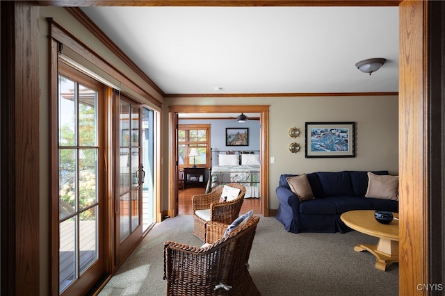 23986 Smith Rd, Alexandria, NY 13607 - living room featuring carpet and crown molding