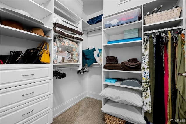 132 Lakefront Blvd Unit 804, Buffalo, NY 14202 - view of spacious closet