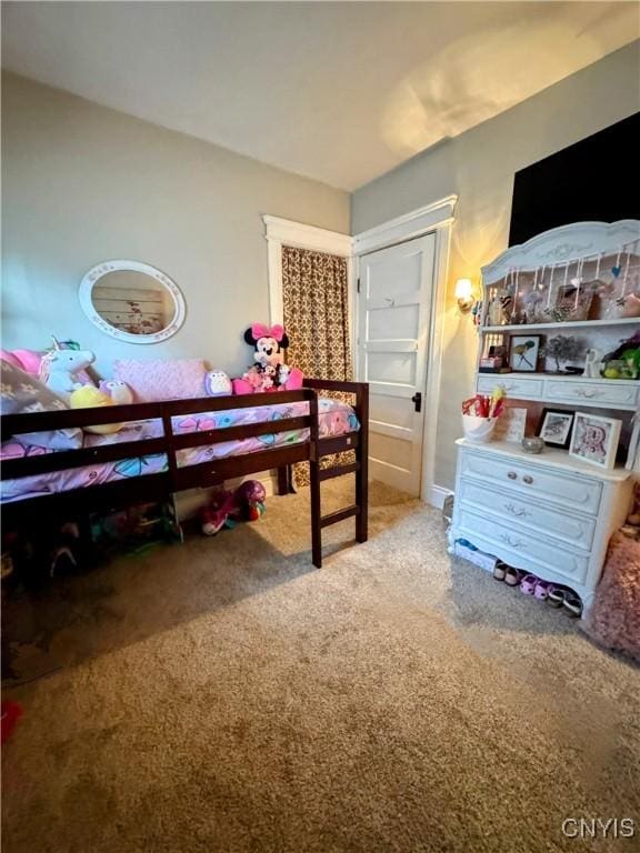 373 S Collingwood Ave, Syracuse, NY 13206 - view of carpeted bedroom