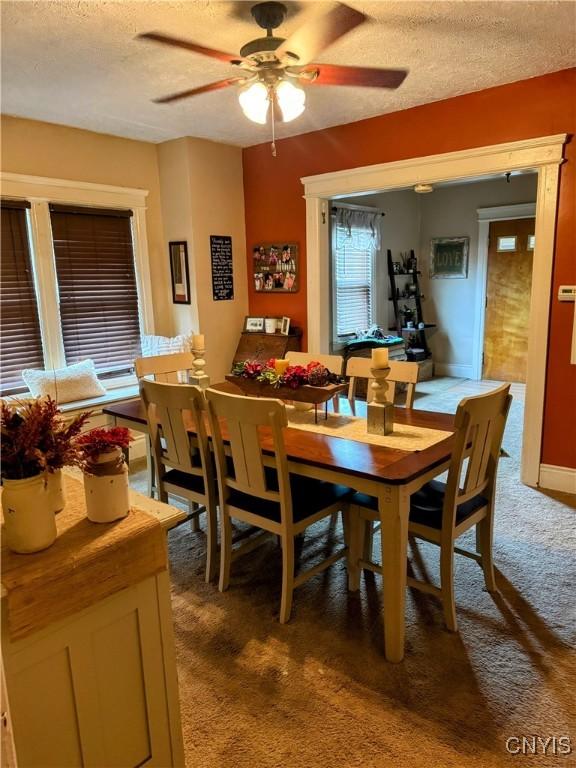 373 S Collingwood Ave, Syracuse, NY 13206 - dining space featuring carpet, a textured ceiling, and a ceiling fan