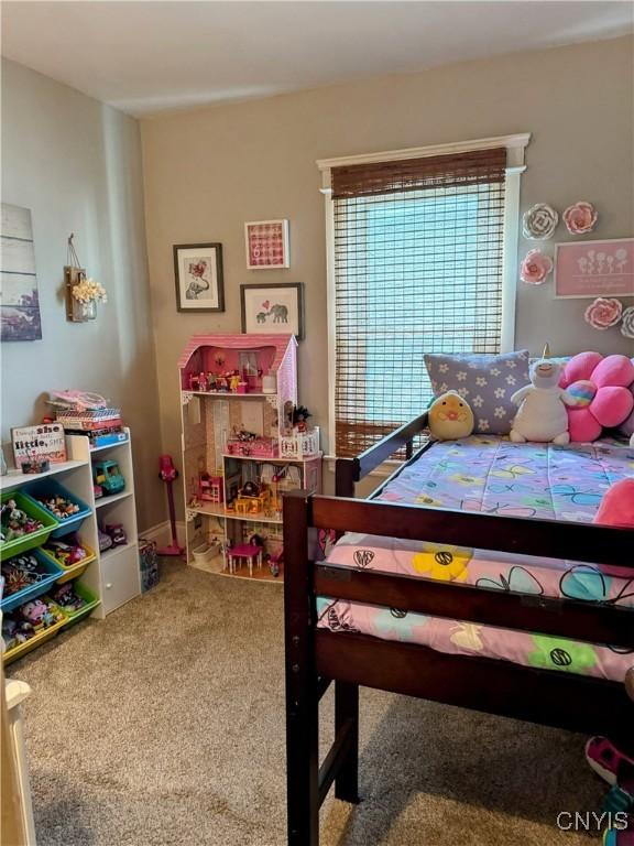 373 S Collingwood Ave, Syracuse, NY 13206 - bedroom featuring carpet floors