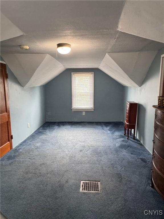 373 S Collingwood Ave, Syracuse, NY 13206 - bonus room featuring vaulted ceiling and dark carpet