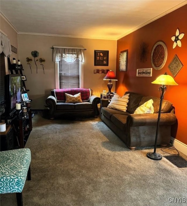 373 S Collingwood Ave, Syracuse, NY 13206 - living room with carpet and crown molding