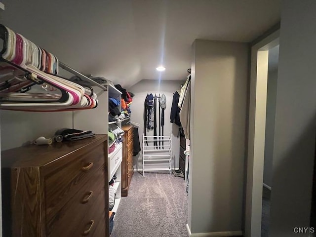 60 Cambridge Rd, Whitestown, NY 13492 - walk in closet with carpet and vaulted ceiling