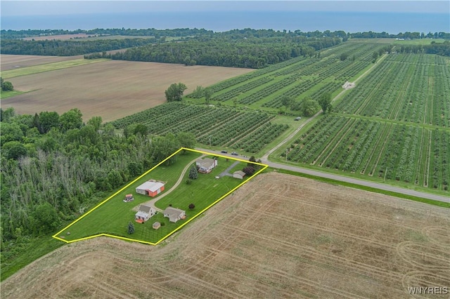 4724 Wilson Burt Rd, Wilson, NY 14172 - aerial view of sparsely populated area with rows of crops and property boundaries highlighted