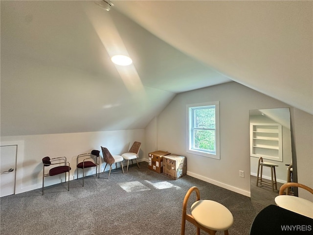 876 Hittown Rd, Caton, NY 14871 - additional living space with carpet and lofted ceiling
