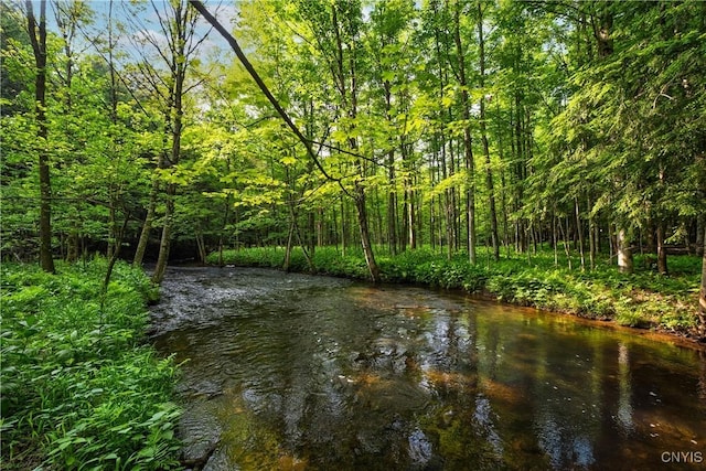 Cummings Rd, Sandy Creek, NY 13083