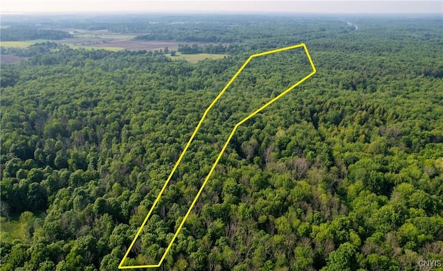 Cummings Rd, Sandy Creek, NY 13083