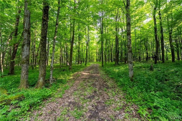Cummings Rd, Sandy Creek, NY 13083