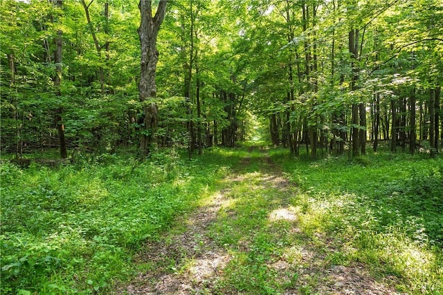 Cummings Rd, Sandy Creek, NY 13083