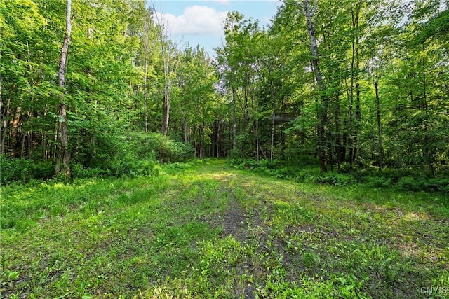 Cummings Rd, Sandy Creek, NY 13083