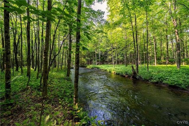 Cummings Rd, Sandy Creek, NY 13083