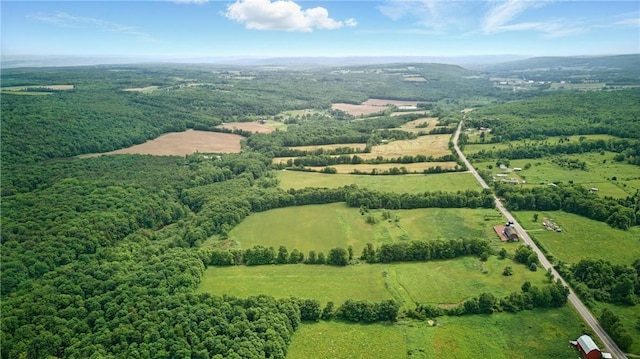 11928 County Route 122, Prattsburgh, NY 14873