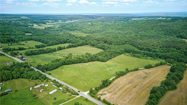 11928 County Route 122, Prattsburgh, NY 14873