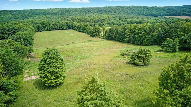 11928 County Route 122, Prattsburgh, NY 14873