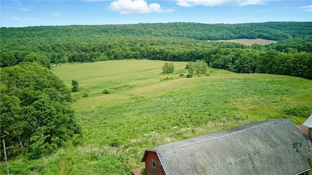 11928 County Route 122, Prattsburgh, NY 14873