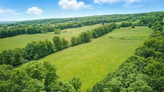 11928 County Route 122, Prattsburgh, NY 14873