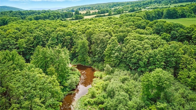 11928 County Route 122, Prattsburgh, NY 14873