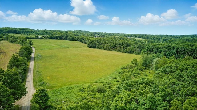 11928 County Route 122, Prattsburgh, NY 14873