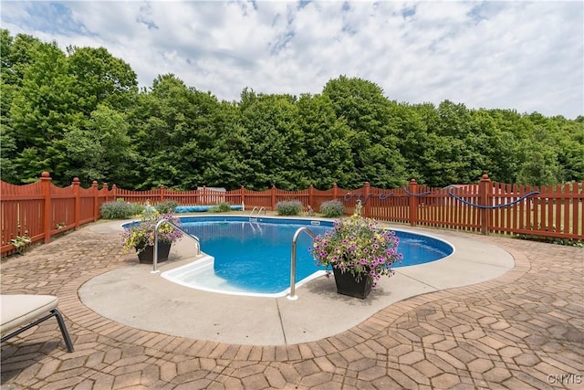 40 Phyllis Ln, Hastings, NY 13076 - view of swimming pool with a fenced backyard and a patio