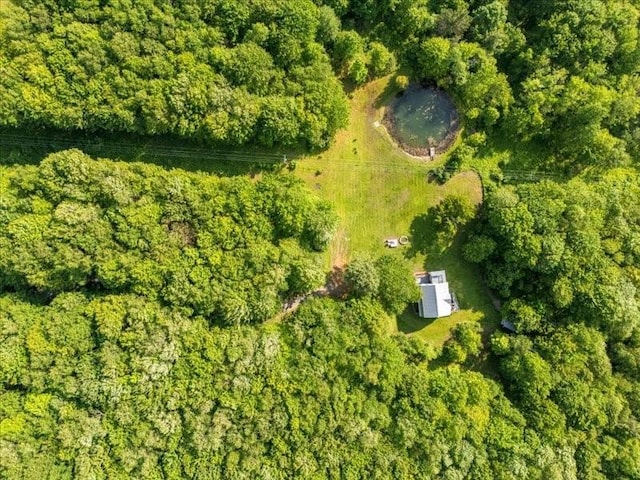 1135 Ridge Rd, Hamden, NY 13782 - aerial overview of property's location