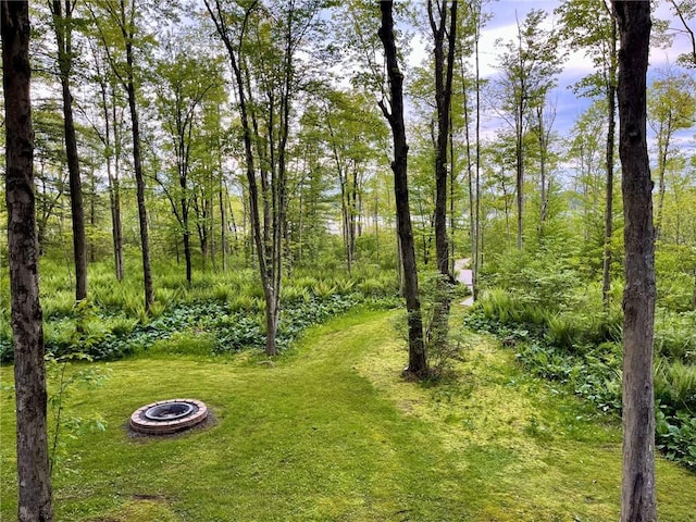 735 Howell Rd, Conquest, NY 13140 - view of yard with a fire pit