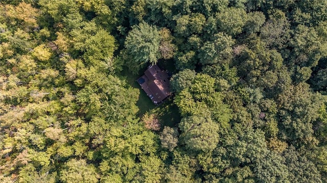 735 Howell Rd, Conquest, NY 13140 - aerial view of property and surrounding area