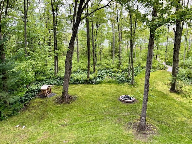 735 Howell Rd, Conquest, NY 13140 - view of green lawn featuring an outdoor fire pit
