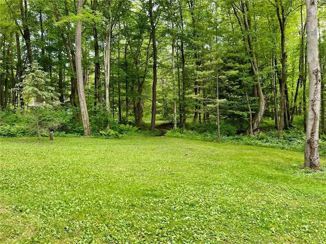 735 Howell Rd, Conquest, NY 13140 - view of grassy yard with a forest view