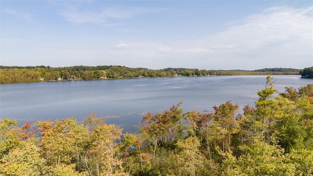 735 Howell Rd, Conquest, NY 13140 - water view featuring a forest