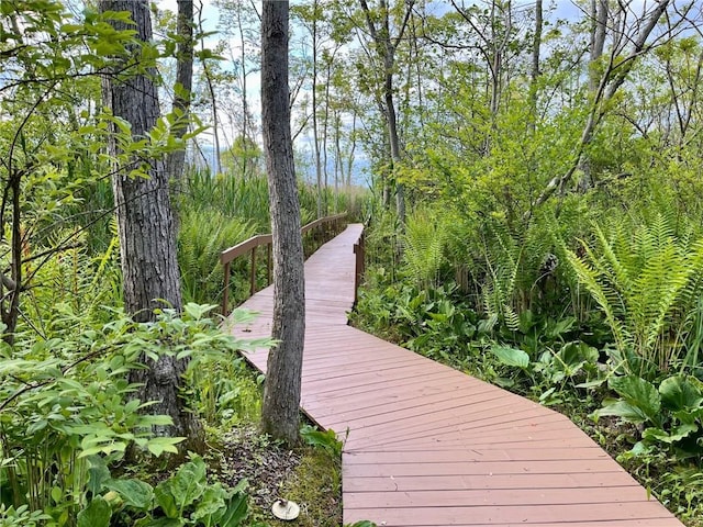 735 Howell Rd, Conquest, NY 13140 - view of home's community