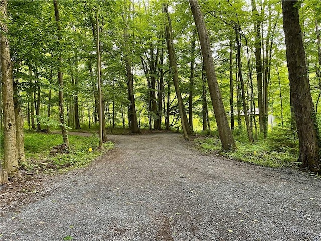 735 Howell Rd, Conquest, NY 13140 - view of street featuring a wooded view
