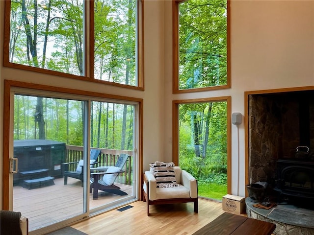 735 Howell Rd, Conquest, NY 13140 - doorway featuring a wood stove, wood finished floors, plenty of natural light, and a towering ceiling