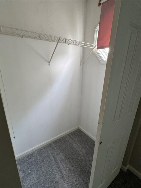 94 Brookhaven, Rochester, NY 14621 - walk in closet featuring carpet floors