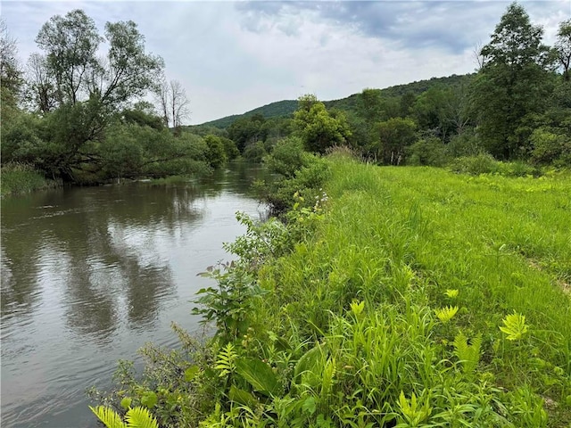 132 Waters Edge Dr, Middlefield, NY 13326