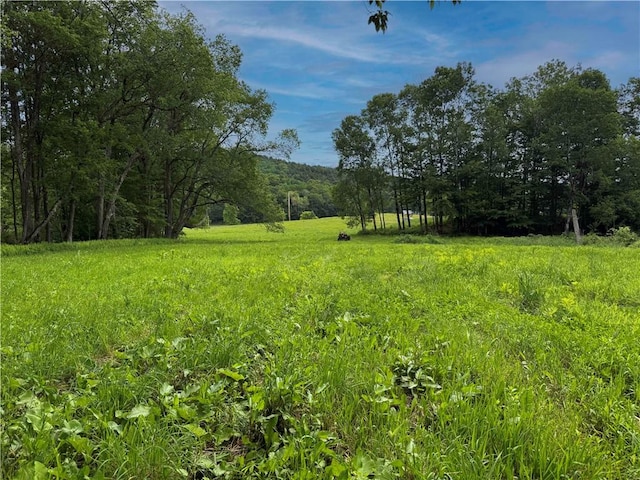 132 Waters Edge Dr, Middlefield, NY 13326