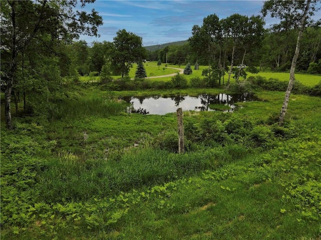 132 Waters Edge Dr, Middlefield, NY 13326