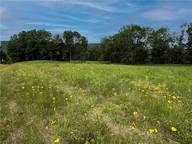 132 Waters Edge Dr, Middlefield, NY 13326