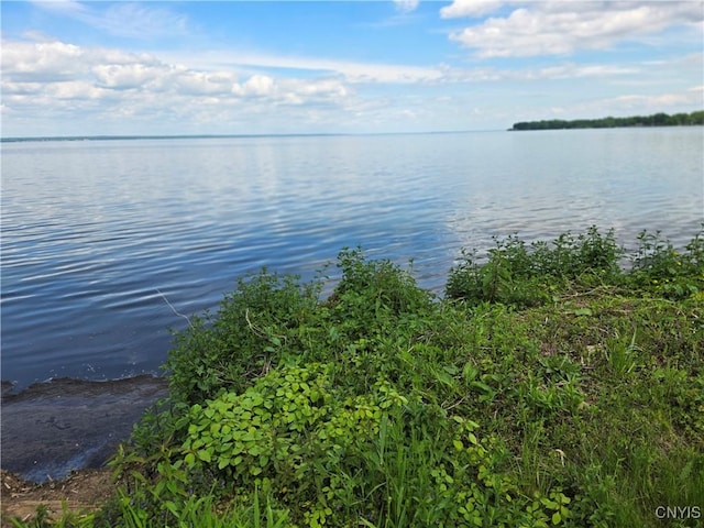 9395 Lakeshore View Rd, Sullivan, NY 13037 - water view