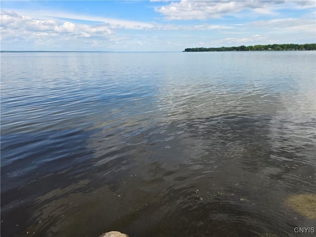 9395 Lakeshore View Rd, Sullivan, NY 13037 - water view