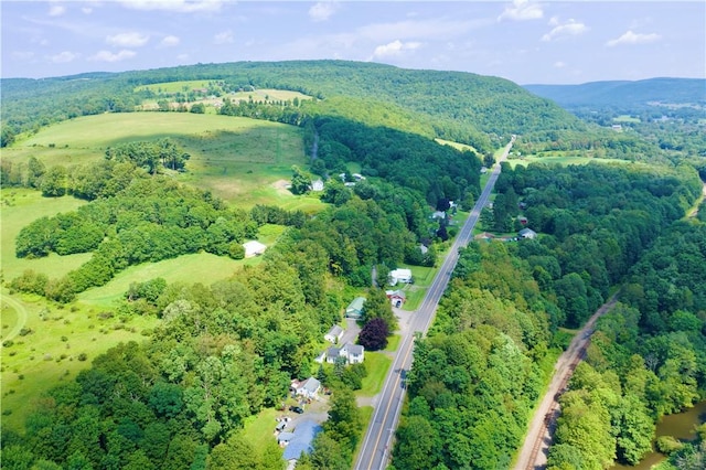7603 State Highway 7, Maryland, NY 12116 - photo 35