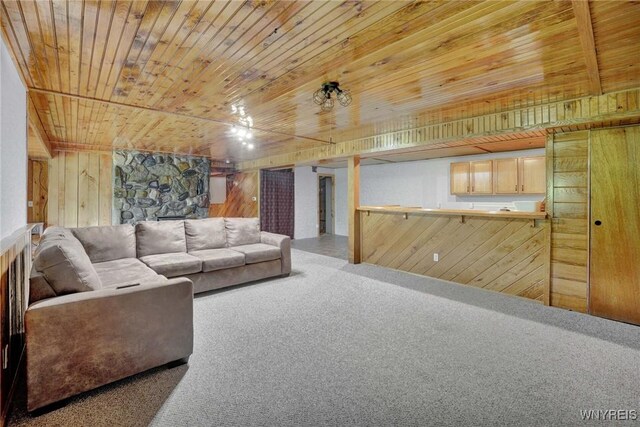 2328 Gowanda Zoar Rd, Collins, NY 14070 - carpeted living area with wood walls and wooden ceiling
